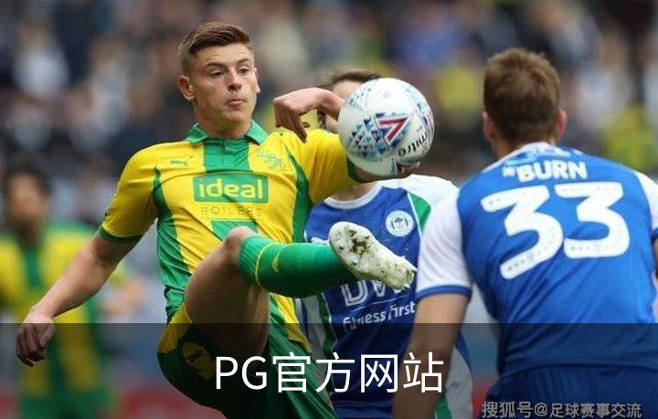 PG官方网站概况